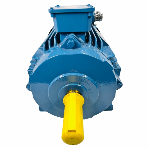 3 Phase Electric Motor