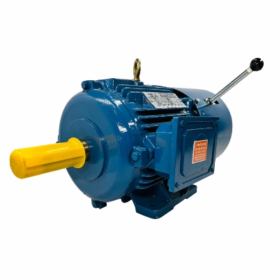 Crane And Hoist Duty Motors