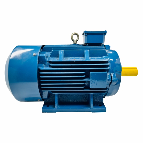 Induction Motors