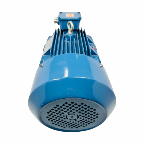 Squirrel Cage Induction Motors